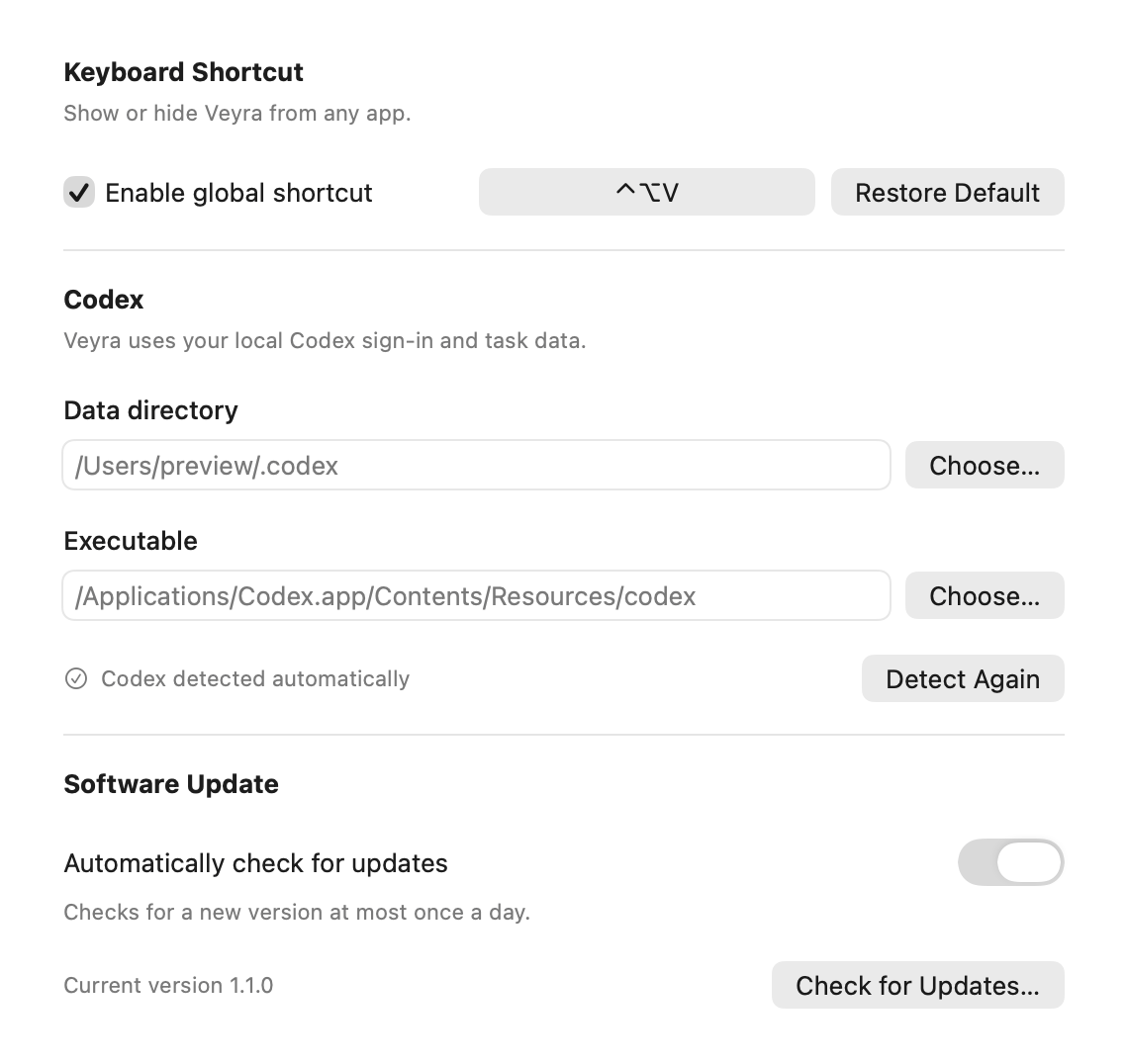 Veyra’s English settings for the global shortcut, Codex paths and software update checks; example paths